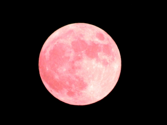 Strawberry moon